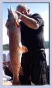 Fish for Northern Pike