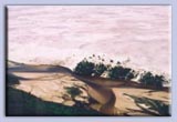 Specatular Athabasca Sand Dunes