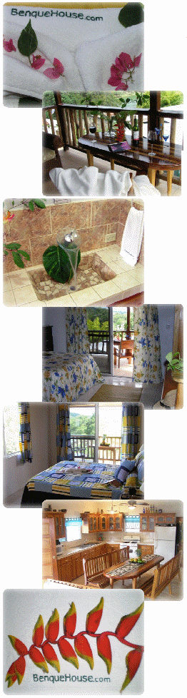 10 fully furnished, operational condos for sale in Belize
