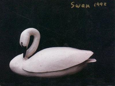 Swan