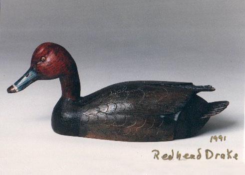 Redhead Drake