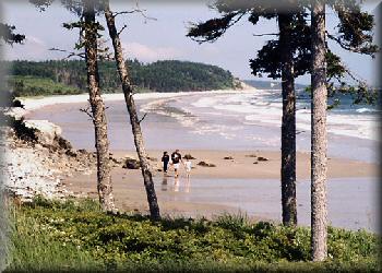 Investment Development, Nova Scotia Canada