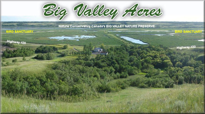 land for sale in the Qu'Appelle Valley