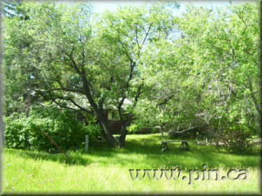 4 BD house on 10 acres for sale by owner, Saskatchewan