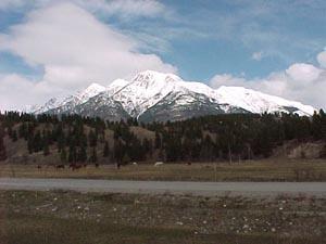 Bull River Cafe, Wardner, BC