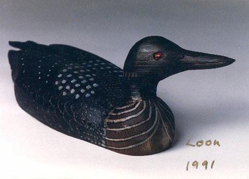 Common Loon