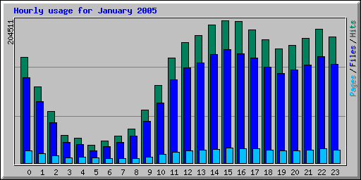 Hourly usage for January 2005